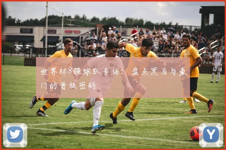 世界杯8强球队专访:盘点黑马与豪门的晋级密码