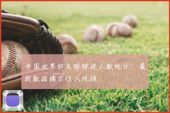 中国世界杯足球球迷人数统计:最新数据揭示惊人规模