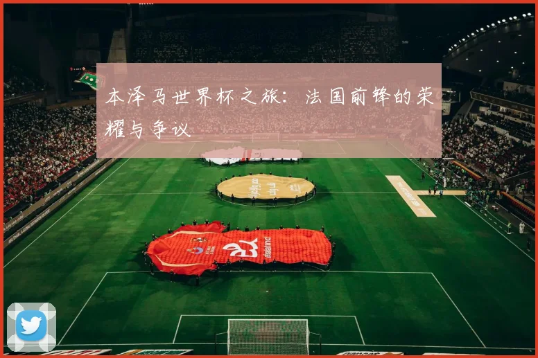 本泽马世界杯之旅：法国前锋的荣耀与争议