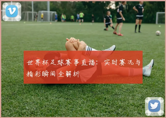 世界杯足球赛事直播:实时赛况与精彩瞬间全解析
