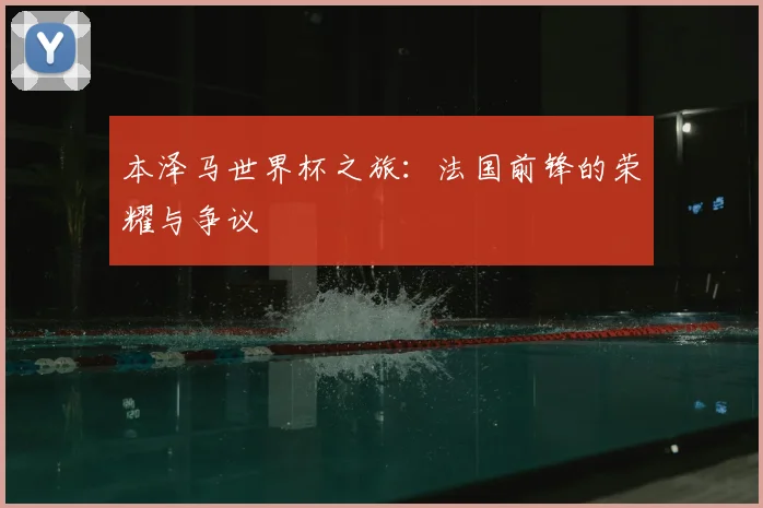 本泽马世界杯之旅：法国前锋的荣耀与争议